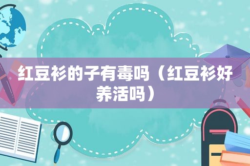 红豆衫的子有毒吗（红豆衫好养活吗）