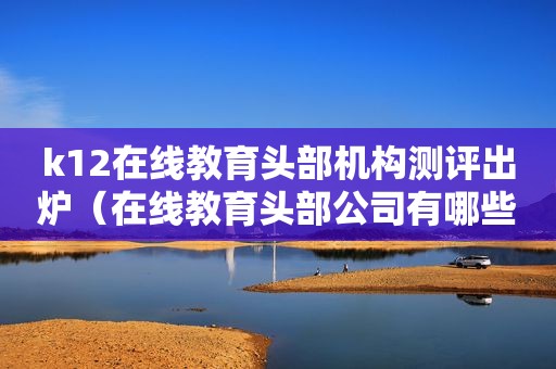 k12在线教育头部机构测评出炉（在线教育头部公司有哪些）