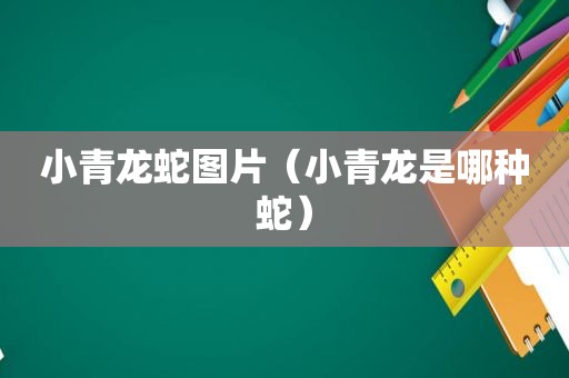 小青龙蛇图片（小青龙是哪种蛇）