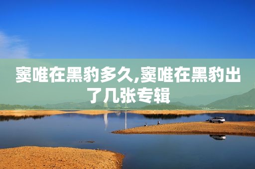 窦唯在黑豹多久,窦唯在黑豹出了几张专辑
