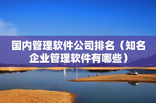 国内管理软件公司排名（知名企业管理软件有哪些）