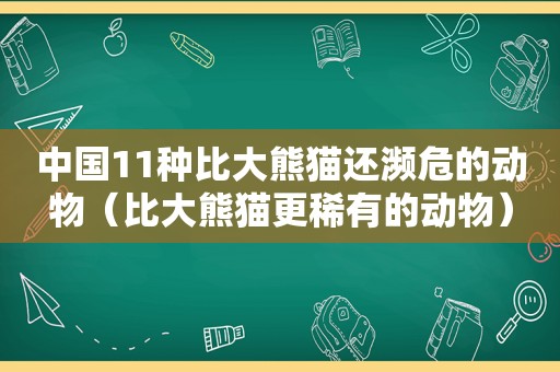 中国11种比大熊猫还濒危的动物（比大熊猫更稀有的动物）