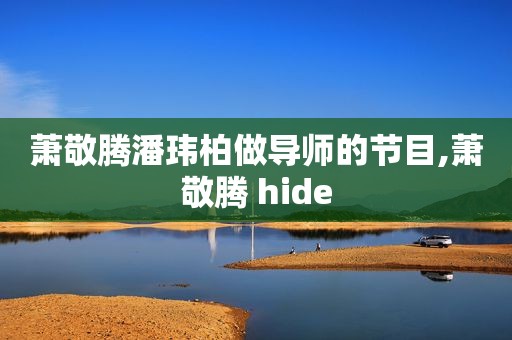 萧敬腾潘玮柏做导师的节目,萧敬腾 hide