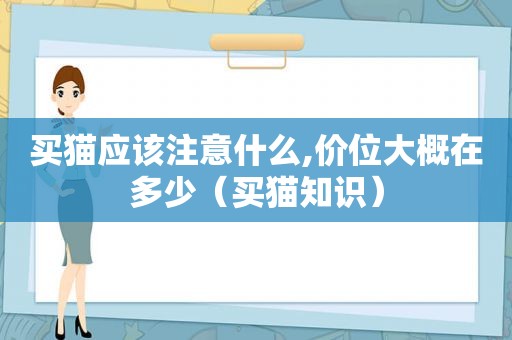 买猫应该注意什么,价位大概在多少（买猫知识）
