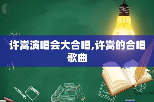 许嵩演唱会大合唱,许嵩的合唱歌曲