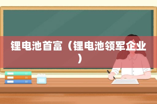 锂电池首富（锂电池领军企业）
