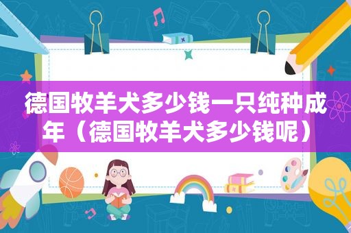 德国牧羊犬多少钱一只纯种成年（德国牧羊犬多少钱呢）
