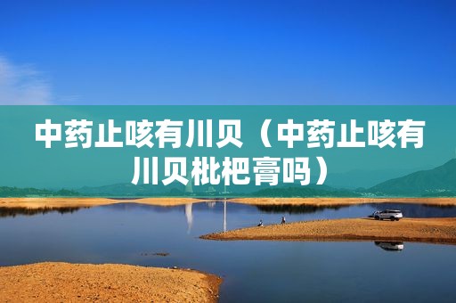 中药止咳有川贝（中药止咳有川贝枇杷膏吗）