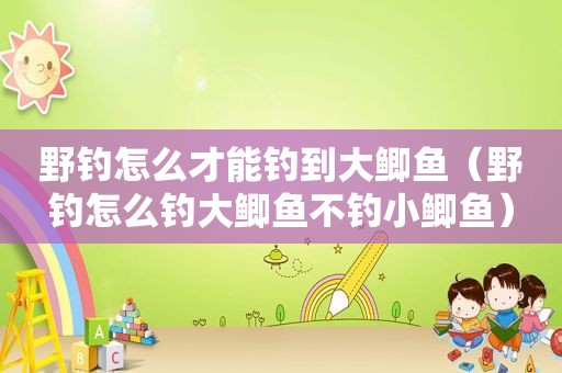 野钓怎么才能钓到大鲫鱼（野钓怎么钓大鲫鱼不钓小鲫鱼）