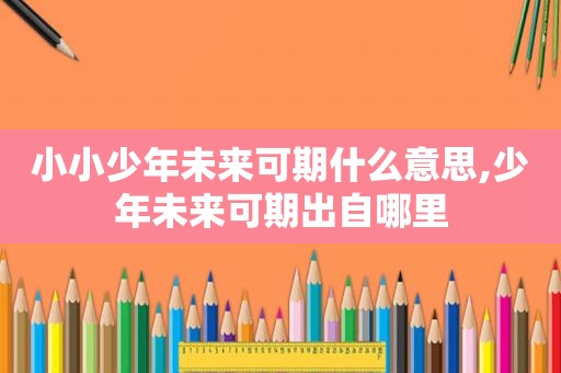 小小少年未来可期什么意思,少年未来可期出自哪里