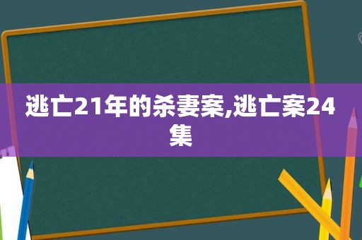逃亡21年的杀妻案,逃亡案24集