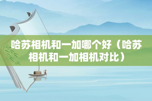 哈苏相机和一加哪个好（哈苏相机和一加相机对比）