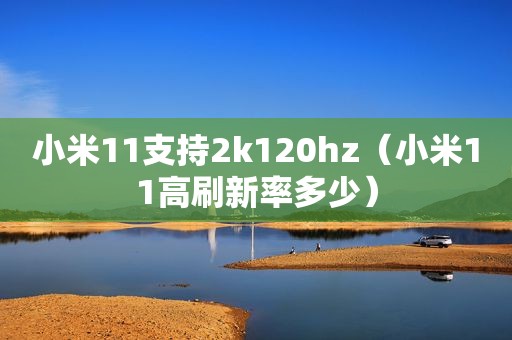 小米11支持2k120hz（小米11高刷新率多少）