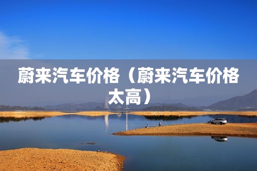 蔚来汽车价格（蔚来汽车价格太高）