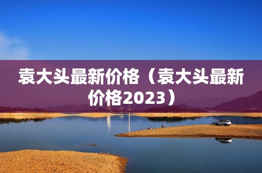 袁大头最新价格（袁大头最新价格2023）