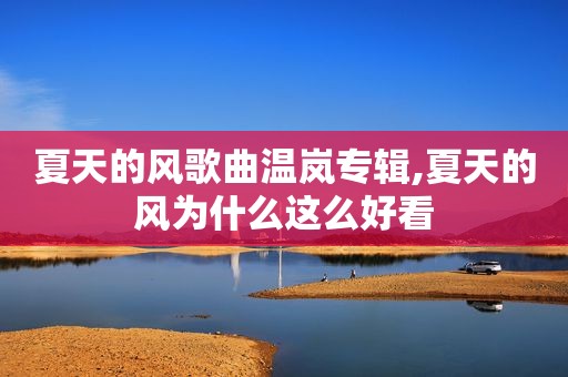 夏天的风歌曲温岚专辑,夏天的风为什么这么好看