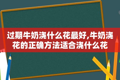 过期牛奶浇什么花最好,牛奶浇花的正确方法适合浇什么花