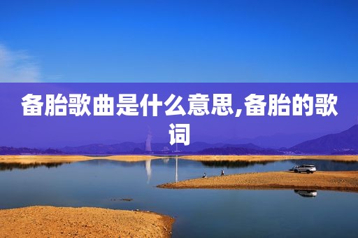 备胎歌曲是什么意思,备胎的歌词
