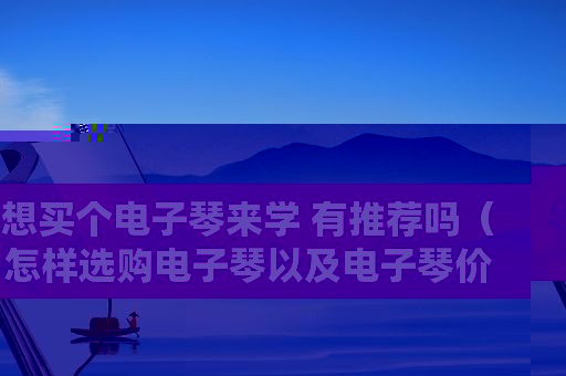 想买个电子琴来学 有推荐吗（怎样选购电子琴以及电子琴价格）