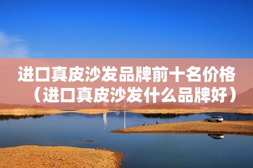 进口真皮沙发品牌前十名价格（进口真皮沙发什么品牌好）
