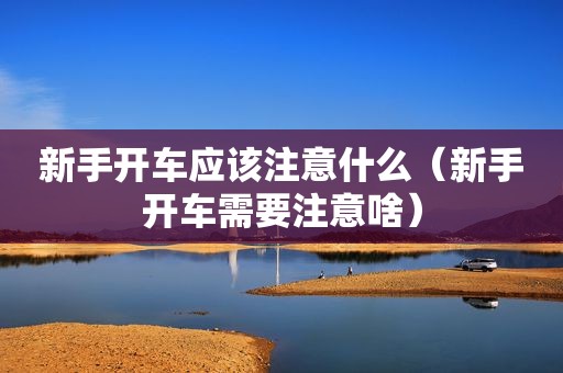 新手开车应该注意什么（新手开车需要注意啥）