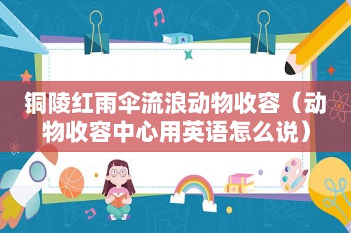 铜陵红雨伞流浪动物收容（动物收容中心用英语怎么说）