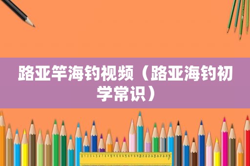 路亚竿海钓视频（路亚海钓初学常识）