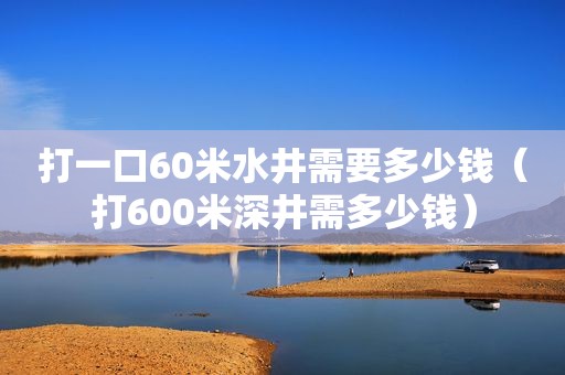 打一口60米水井需要多少钱（打600米深井需多少钱）