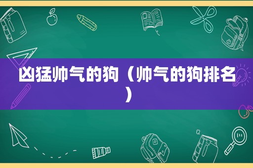 凶猛帅气的狗（帅气的狗排名）