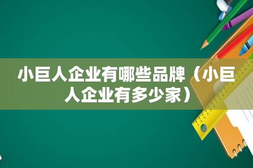 小巨人企业有哪些品牌（小巨人企业有多少家）