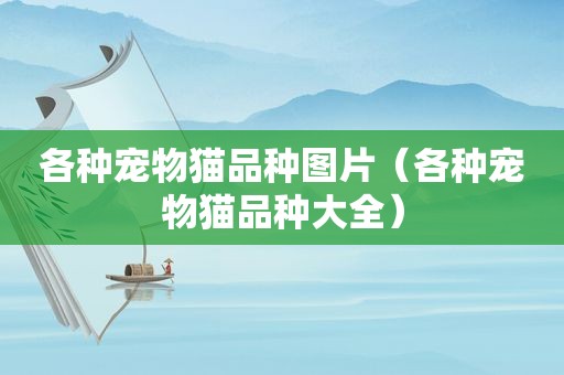 各种宠物猫品种图片（各种宠物猫品种大全）