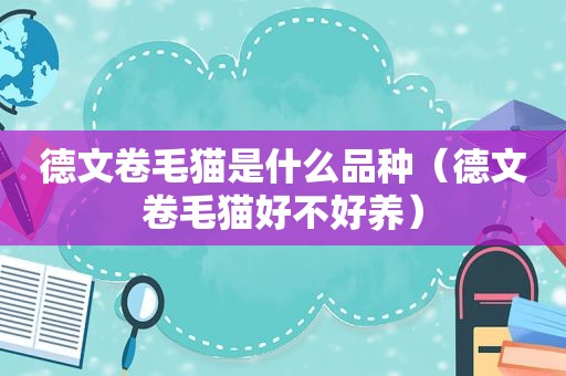 德文卷毛猫是什么品种（德文卷毛猫好不好养）