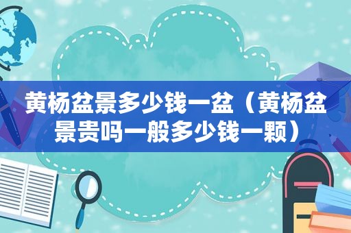 黄杨盆景多少钱一盆（黄杨盆景贵吗一般多少钱一颗）
