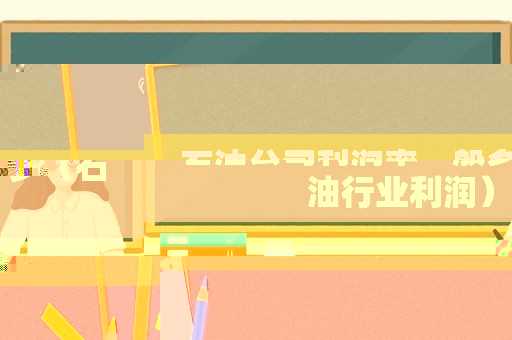 石油公司利润率一般多少（石 *** 业利润）