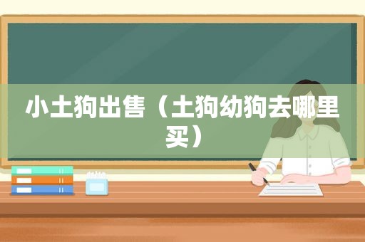 小土狗出售（土狗幼狗去哪里买）