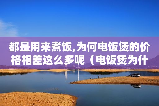 都是用来煮饭,为何电饭煲的价格相差这么多呢（电饭煲为什么价格差距大）