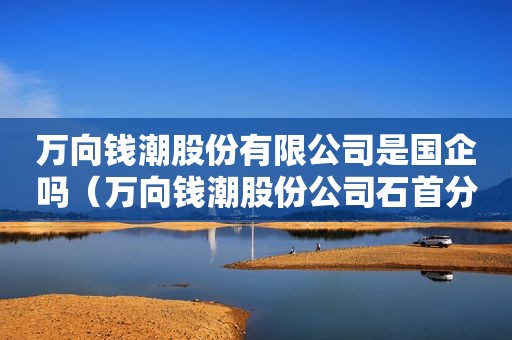 万向钱潮股份有限公司是国企吗（万向钱潮股份公司石首分公司）
