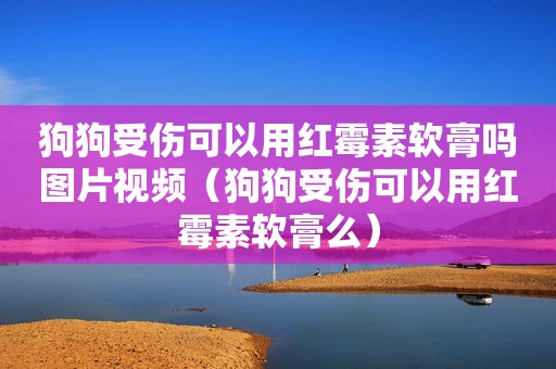 狗狗受伤可以用红霉素软膏吗图片视频（狗狗受伤可以用红霉素软膏么）