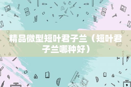 精品微型短叶君子兰（短叶君子兰哪种好）