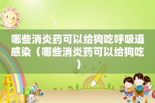 哪些消炎药可以给狗吃呼吸道感染（哪些消炎药可以给狗吃）