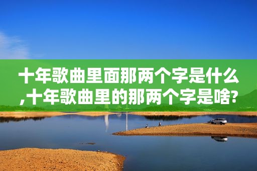 十年歌曲里面那两个字是什么,十年歌曲里的那两个字是啥?