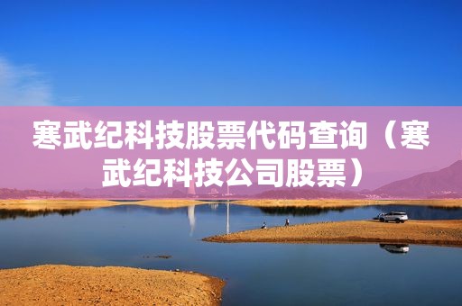 寒武纪科技股票代码查询（寒武纪科技公司股票）