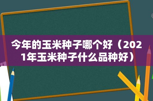 今年的玉米种子哪个好（2021年玉米种子什么品种好）