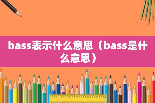 bass表示什么意思（bass是什么意思）