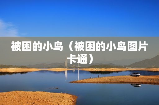 被困的小鸟（被困的小鸟图片卡通）