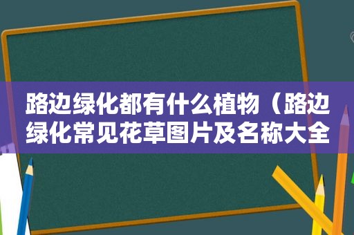 路边绿化都有什么植物（路边绿化常见花草图片及名称大全图）
