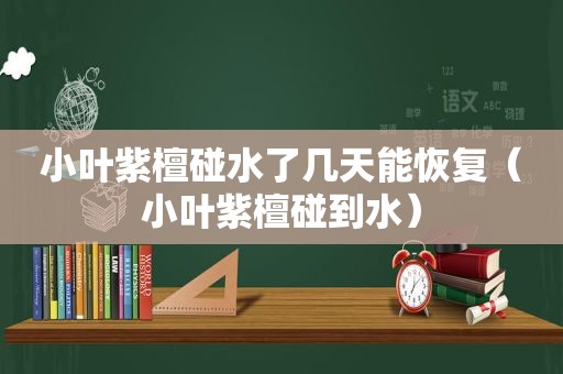 小叶紫檀碰水了几天能恢复（小叶紫檀碰到水）