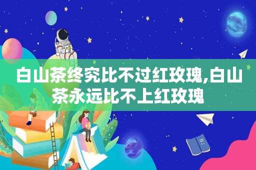 白山茶终究比不过红玫瑰,白山茶永远比不上红玫瑰