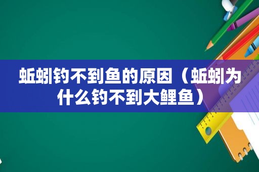 蚯蚓钓不到鱼的原因（蚯蚓为什么钓不到大鲤鱼）