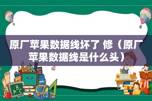 原厂苹果数据线坏了 修（原厂苹果数据线是什么头）